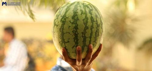 娱乐圈可以吃的大瓜